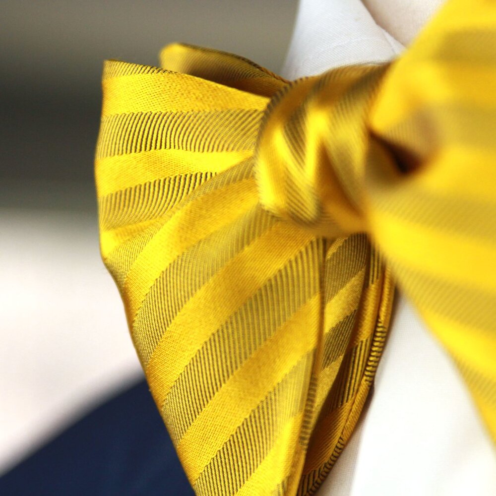 CAMELLUCCI Men's Self-tied Bow Tie Bowtie Big Butterfly S712 Gold‎